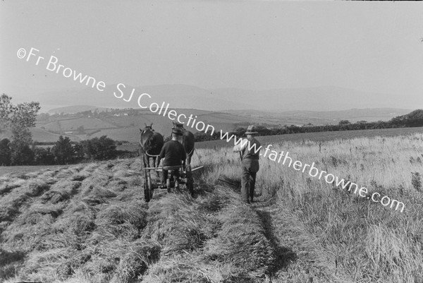 HARVEST TIME ON MOUNT SESKIN : HAND WORK